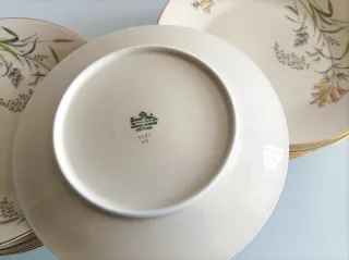 Platos Rosenthal Porcelana Florales Dorados