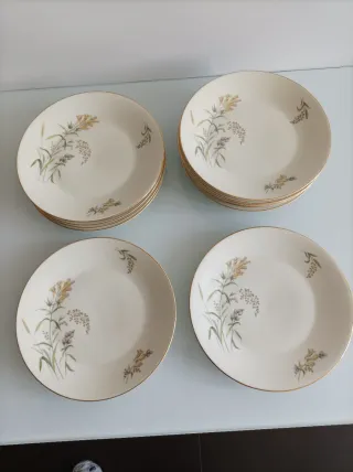 Platos Rosenthal Porcelana Florales Dorados