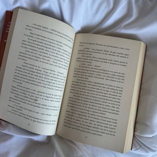 Chicas Salvajes Libro