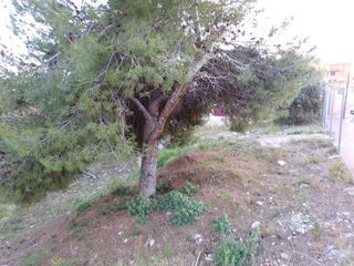 Terreno en venta en Centro en Roda de Barà