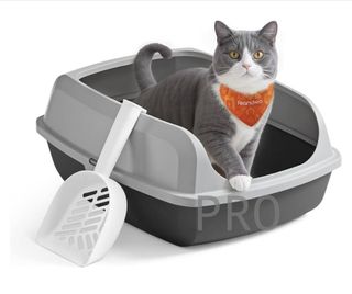 Bandeja higiénica para Gatitos