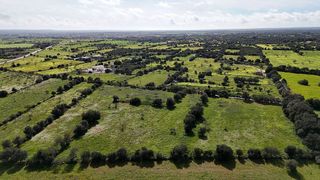 Terreno en venta en Campos