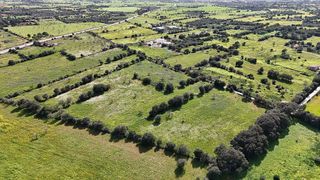 Terreno en venta en Campos