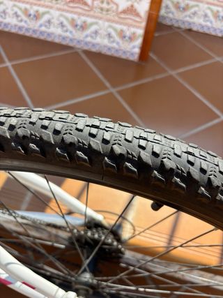 Bicicleta montaña blanca y morada