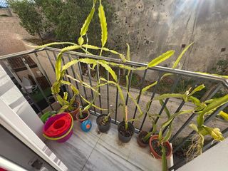 Dúplex en alquiler en Cártama