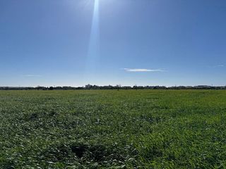 Terreno en venta en Campos