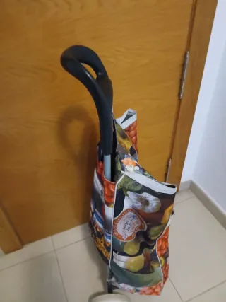 Carrito de compra con ruedas