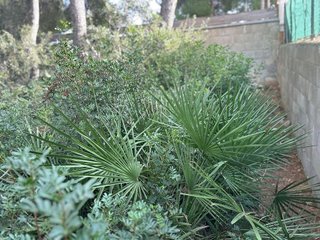 Terreno en venta en Les Brises de Calafell - Segur de Dalt en Calafell