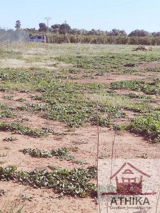 Terreno en venta en Riba-roja de Túria