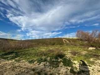 Terreno en venta en Oeste en Jerez de la Frontera