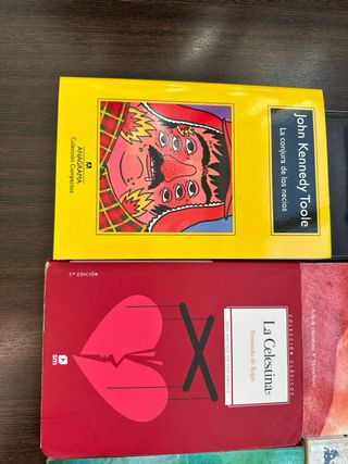 Lote 10 libros lectura instituto - clásicos у nove