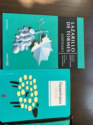 Lote 10 libros clásicos lectura instituto ESO/Bach