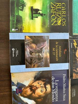 Lote 10 libros clásicos lectura instituto ESO/Bach