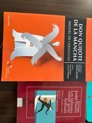 Lote 10 libros clásicos lectura instituto ESO/Bach