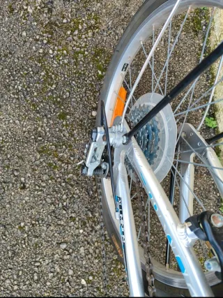 Bicicleta pieghevole 20" grigia