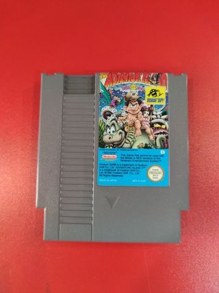 The adventure island part 2 nes
