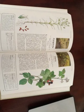 Secretos Y Virtudes De Las Plantas Medicinales