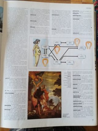 larousse il grande dizionario €6