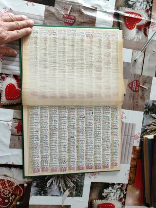 Francobolli Italia doppi