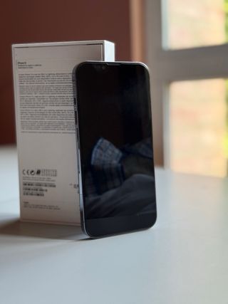 iPhone 13 Pro Max 256GB 100%