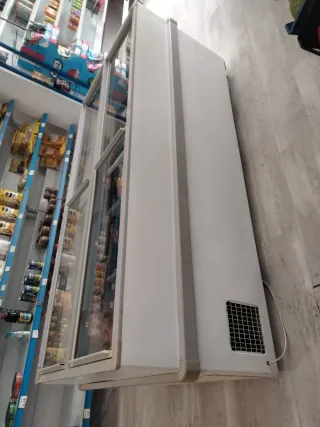 Congelador vertical comercial