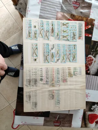 Album francobolli Patento Delft