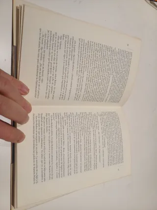 Mi idolatrado hijo Sisí de Miguel Delibes