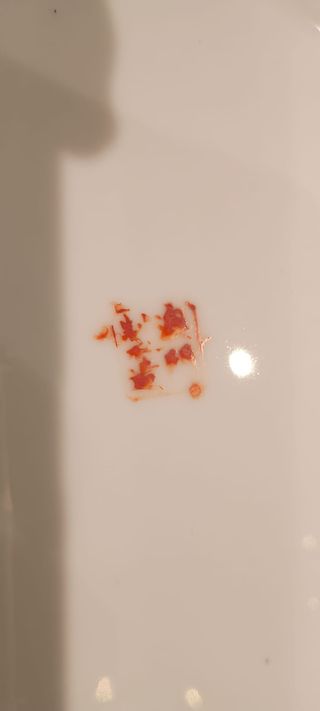 Plato porcelana china pintado a mano