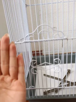 Jaula Voladera Estilo Casa