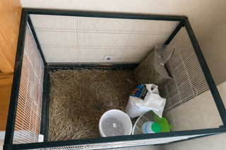 Jaula grande para conejo/cobaya/roedores