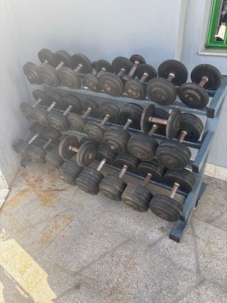 Set completo di manubri per palestra