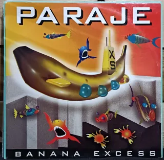 9 Vinili Dance Anni 90