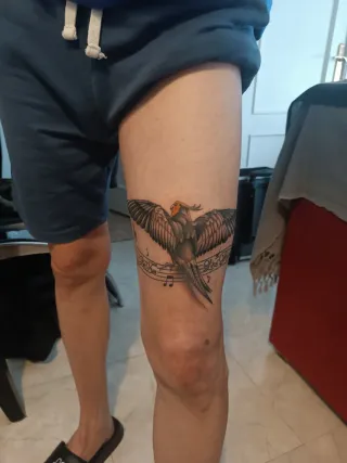 Tatuador profesional a domicilio