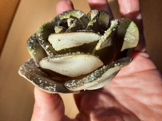 Candele Rose Glitterate