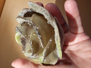 Candele Rose Glitterate