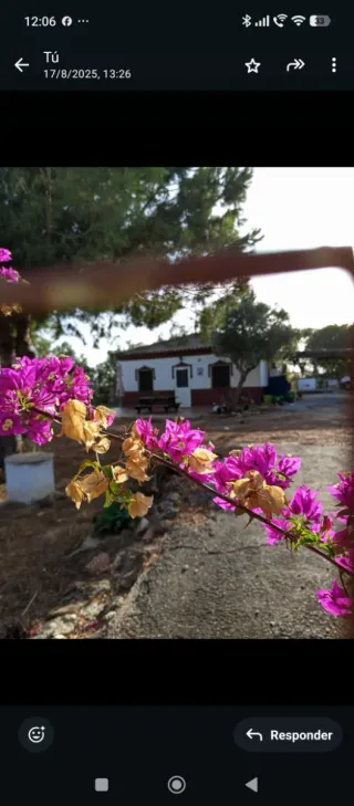 Finca Rústica 7000m² con Escritura