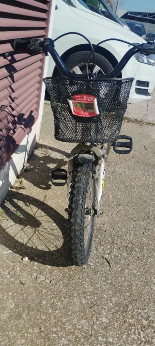 Bicicleta Infantil Zebra