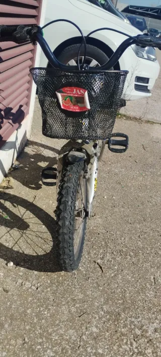 Bicicleta Infantil Zebra