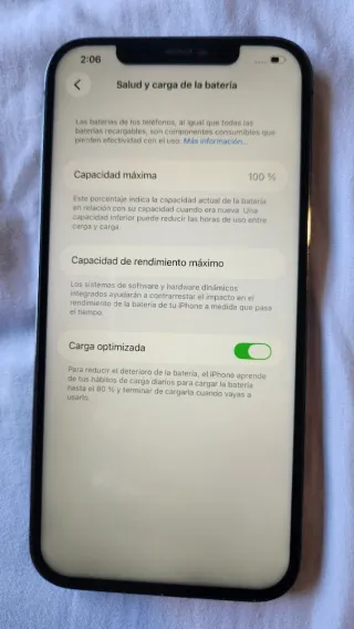 iPhone 12 Pro Max 128GB Batteria 100%
