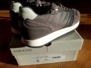 Sneakers Geox 43