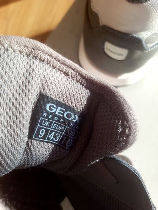 Sneakers Geox 43