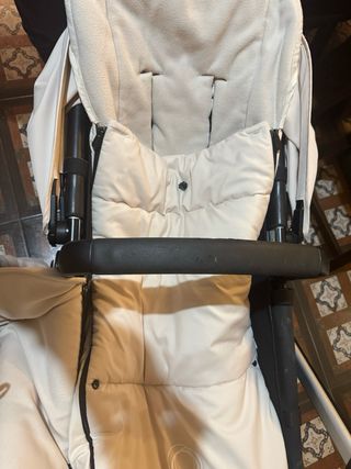 Carro de bebé Bugaboo camaleón