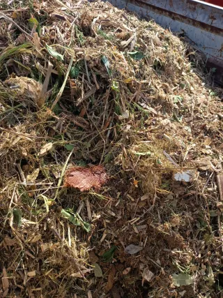 Mantillo Poda triturada Mulching