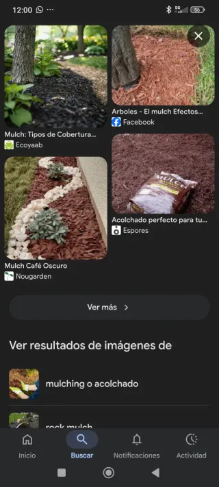 Mantillo Poda triturada Mulching