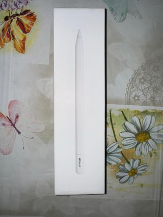 Apple Pencil 2 generazione 2023