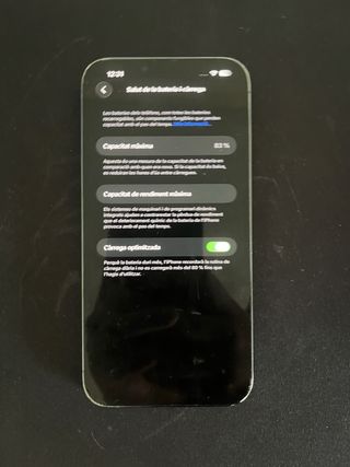 iPhone 13 Pro Max Grigio/Argento