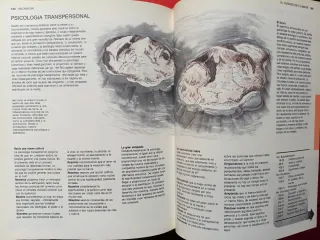 El universo de la mente