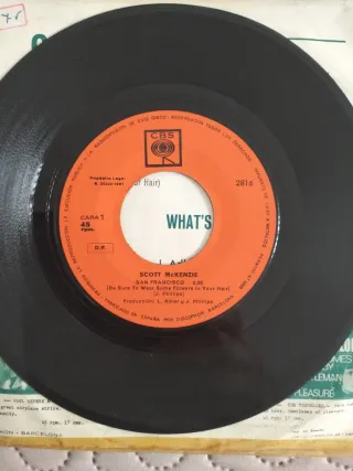 Disco Vinilo Scott McKenzie San Francisco