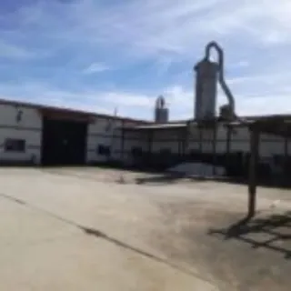 Tarima de roble 3 lamas/ parquet roble 3 lamas