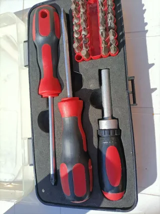 Set Cacciaviti con Punte